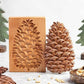 (🎁Early Christmas Sale- 49% OFF🎁)Wood Patterned Cookie Cutter - Embossing Mold For Cookies