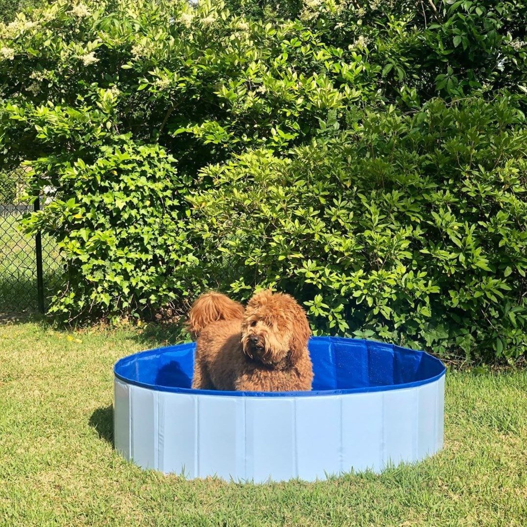 PORTABLE PAW POOL™