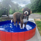 PORTABLE PAW POOL™