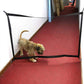 The Ingenious Mesh Magic Pet Gate For Dogs