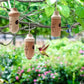 Last Day Sale 50% OFF💕Wooden Hummingbird House-Gift for Nature Lovers