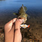 Micro Jointed Swimbait - AME