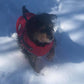 2022 Newest Dog Waterproof Winter Jacket with Built-in Harness