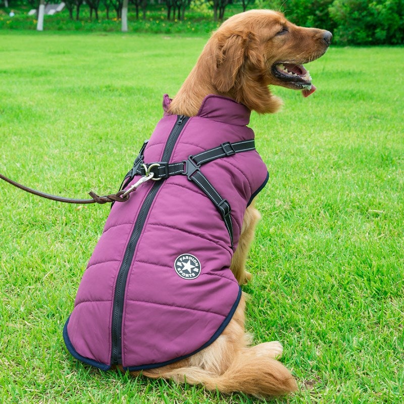 2022 Newest Dog Waterproof Winter Jacket with Built-in Harness