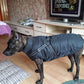 2022 Newest Dog Waterproof Winter Jacket with Built-in Harness