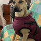 2022 Newest Dog Waterproof Winter Jacket with Built-in Harness