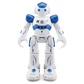 🔥【🎅EARLY CHRISTMAS SALE🎅】Gesture Sensing Smart Robot